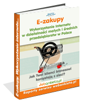 eBook - Wykorzystanie Internetu W Dziaalnoci Maych I rednich Przedsibiorstw W Polsce